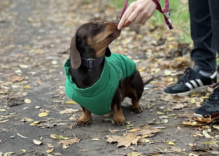 367384004_696233879119102_7799910432801031236_n