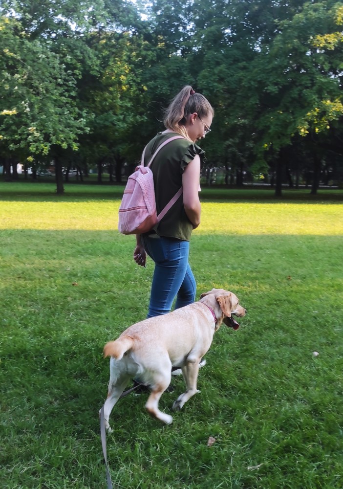 Egyéni kutyaoktatás Budapesten | Személyre szabott kutyaképzés akár saját otthonodban | Az egyéni képzésen 100%-os figyelmet kaptok, így kutyusod hatékonyabban sajátíthatja el a feladatokat és könnyebb orvosolni a problémákat. | Sápi Anna kutyatréner, kutyaoktató